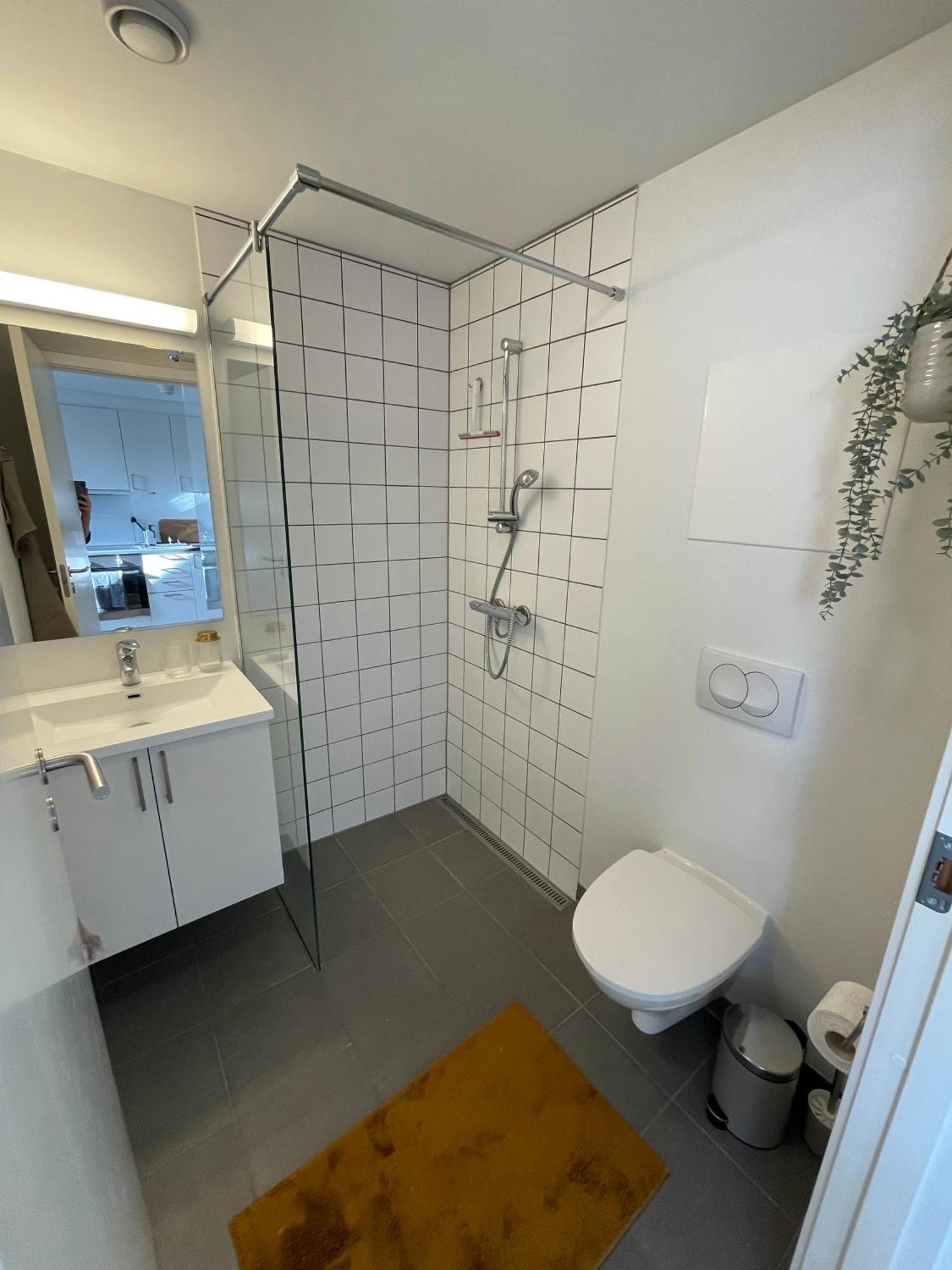 Central Lejlighed I Odense C Apartment Ngoại thất bức ảnh